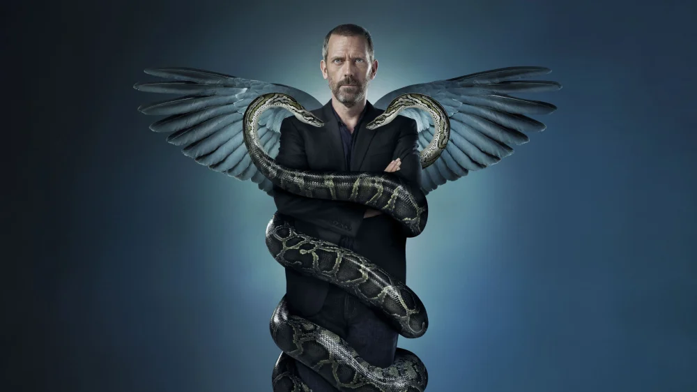 House (2004) cover