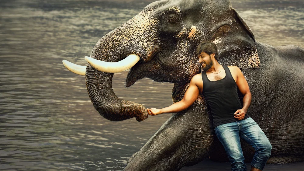 Rajabheema (2025) cover
