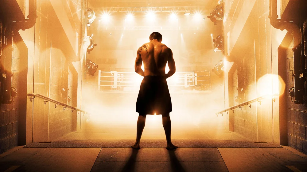 Warrior (2011) cover