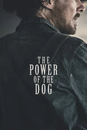 Фильм The Power of the Dog (2021)