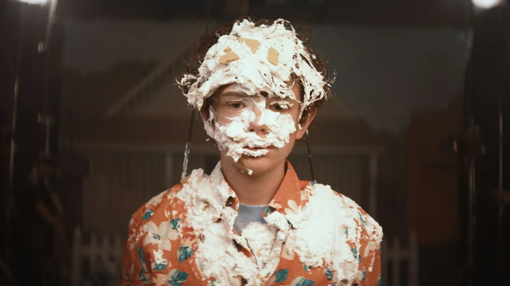 Honey Boy (2019) cover