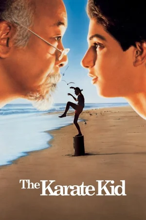 Фильм The Karate Kid (1984)