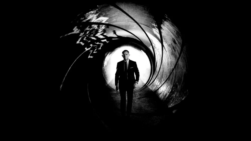 Skyfall (2012) cover