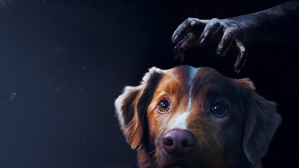 Good Boy (2025) cover
