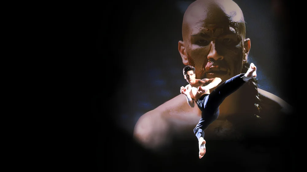 Kickboxer 4: The Aggressor (1994) cover