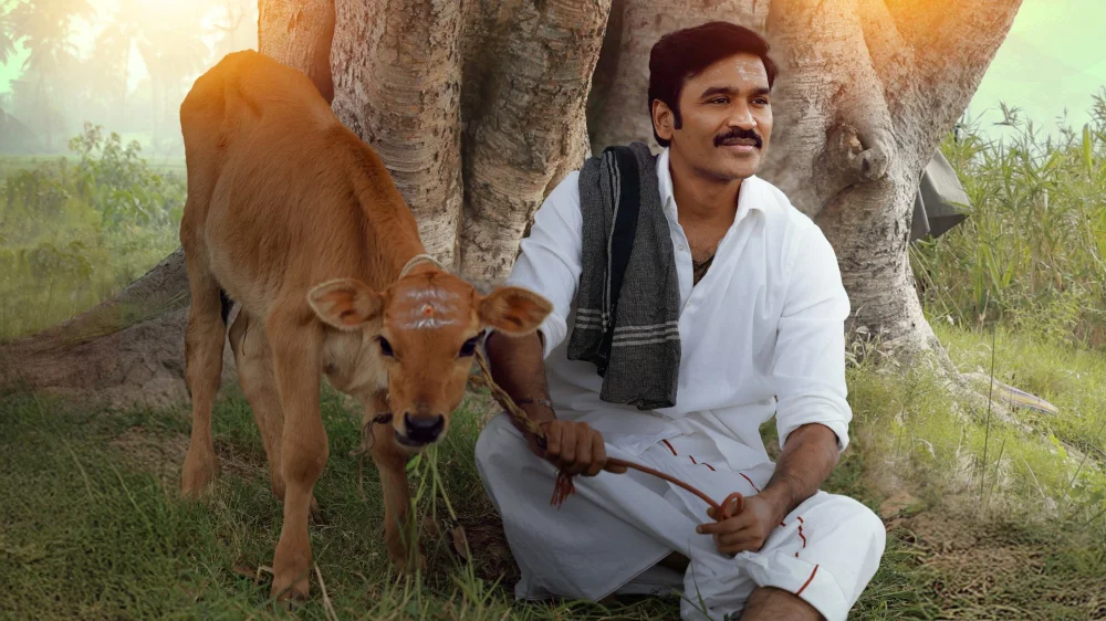 Idli Kadai (2025) cover