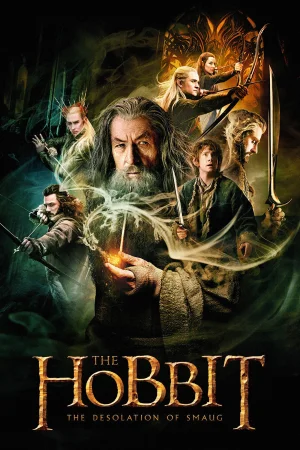 Фильм The Hobbit: The Desolation of Smaug (2013)
