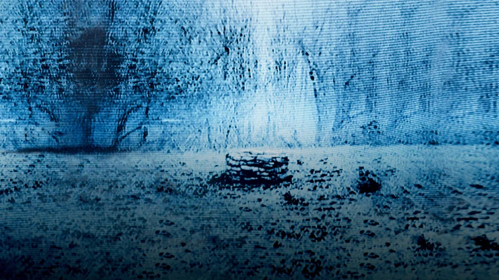 The Ring (2002) cover