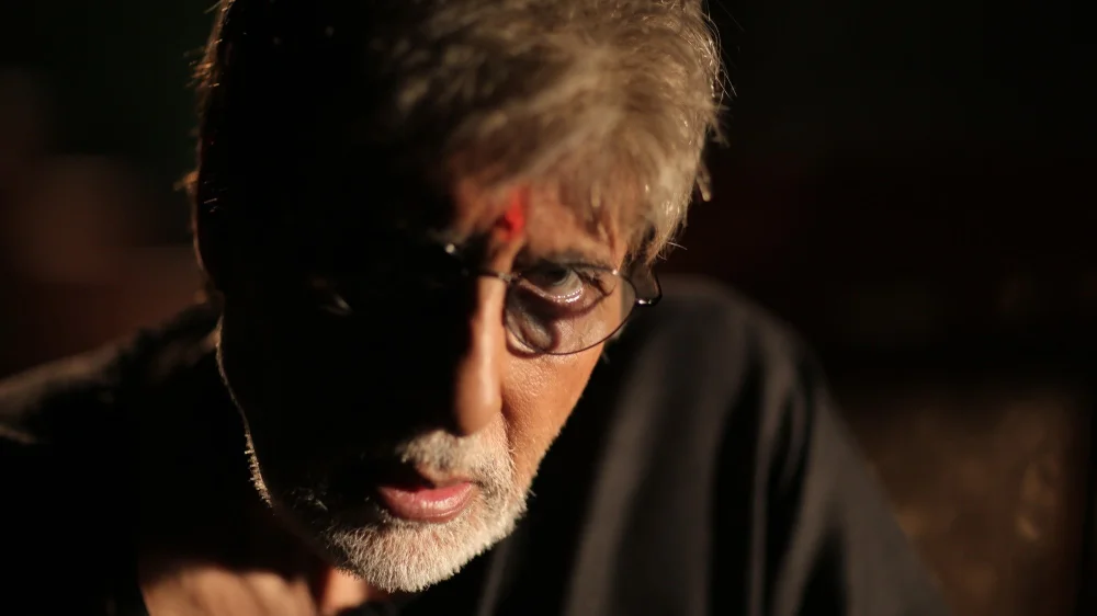 Sarkar 3 (2017) cover