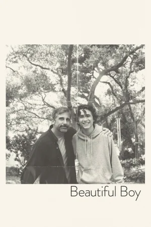 Фильм Beautiful Boy (2018)
