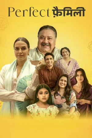 Сериал Perfect Family (2025)